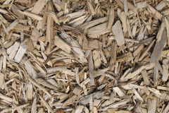 biomass boilers Lettermorar
